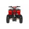 Buffler XW110Y