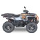 ACCESS Shade 650 Xtreme EPS T3B