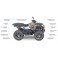 ACCESS Shade 650 Xtreme EPS T3B