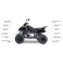 ACCESS Shade 650 Xtreme T3B