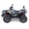 Linhai ATV 570 PROMAX EFI, T3b