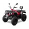 Linhai M210 2X4 EFI T3b